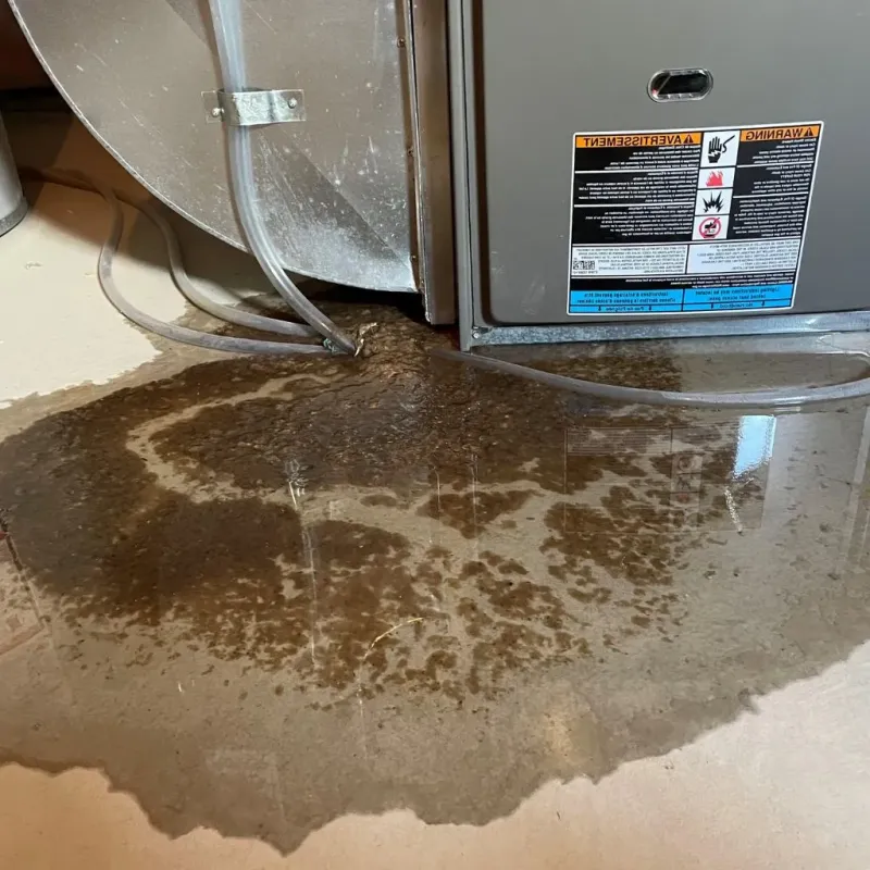 Pipe Burst and Leak Restoration in Woodsfield, OH
